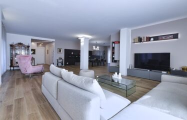 MACHERIO: APPARTAMENTO DI 277 MQ. CON 170 MQ. DI TERRAZZO